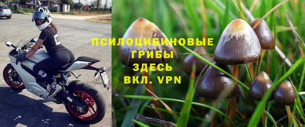 дмт Медвежьегорск