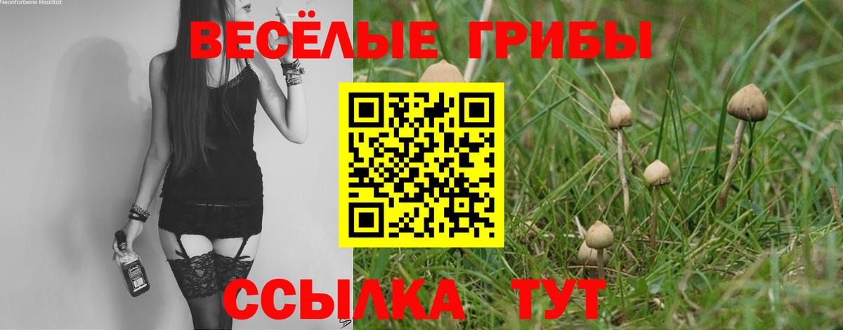 Псилоцибиновые грибы GOLDEN TEACHER Заринск