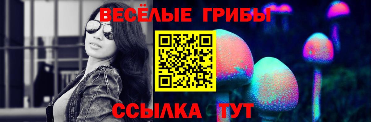 Псилоцибиновые грибы MAGIC MUSHROOMS  Вход с VPN  Заринск 