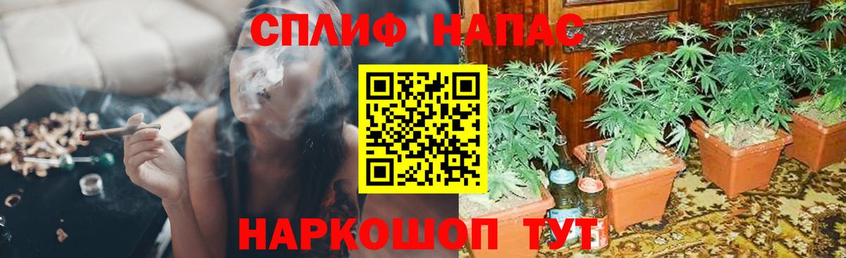 Заринск  Бошки Шишки марихуана  Каннабис тримм  Вход с VPN 